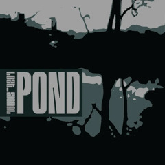 Pond