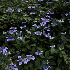 Catch my eye (Spiraling)