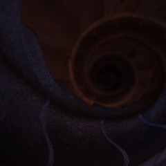CODECAST X - Odd Hills -  Convex Ellipse