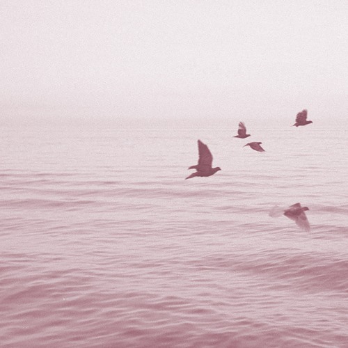 Alaskan Tapes - Views from Sixteen Stories (Sun Rain Remix)