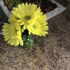 TheSimpleThings
