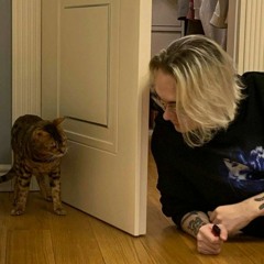 музыка для котиков