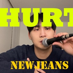 뉴진스(NEWJEANS)-HURT Male Cover