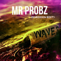 Mr. Probz - Waves (SNEDDON Edit)