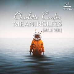 𝐌𝐀𝐋𝐄 𝐕𝐄𝐑. • CHARLOTTE CARDIN • Meaningless