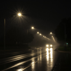 The Rain