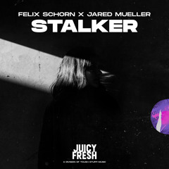 Stalker