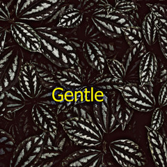 Gentle