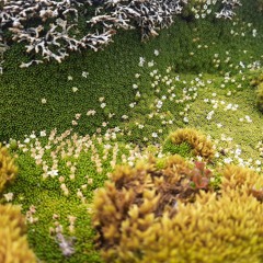 20191016 Audio Foundation