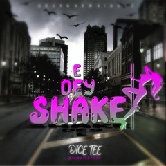 Dice Tee _ E dey shake