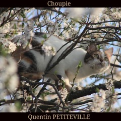 Choupie