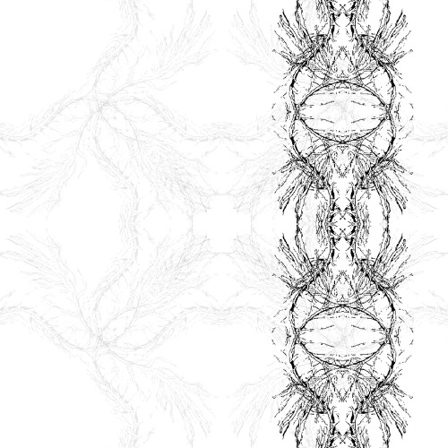 Black Tuesday (y3rip x n9ck x perk)