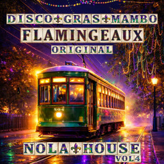 Disco Gras Mambo (Radio Mix)