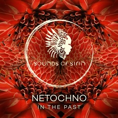 Premiere: Netochno - In The Past [Sounds Of Sirin]