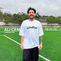 ALI CEM / Pinguino 002 / 16.01.25