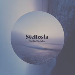 Stellosia