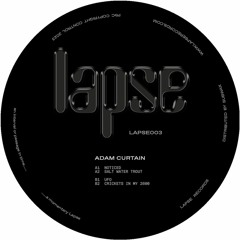 PREMIERE: Adam Curtain - Noticed [Lapse]