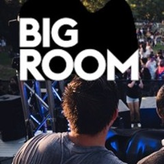 BIG ROOM 2025 (EDM) HITS MIX (VOL 1) 🎧 SET ✘ DJ Andrés Barrera