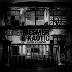 𝐅𝐑𝐄𝐄 𝐃𝐋 | MESMER x KAOTIC - Háború A Végsőkig (Original Mix)