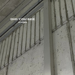 KMBØ - Did you see