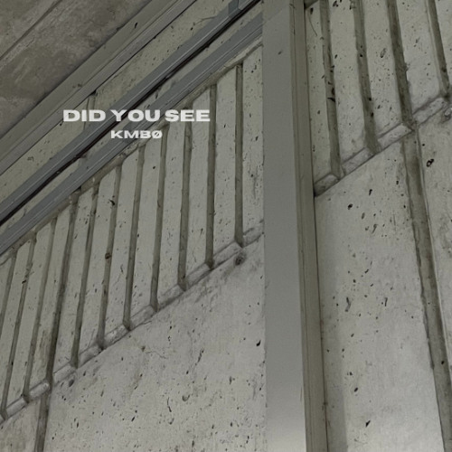 KMBØ - Did you see