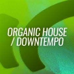 Organic House Vol. 10