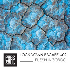 Lockdown Escape #02 w: Flesh Ingordo
