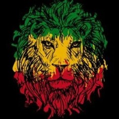fu cat - Roots dub quan
