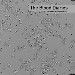 Manifesto (Soundtrack for Video Installation)