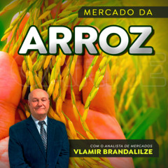 Produtor de arroz tem prejuízo de R$20 na saca.