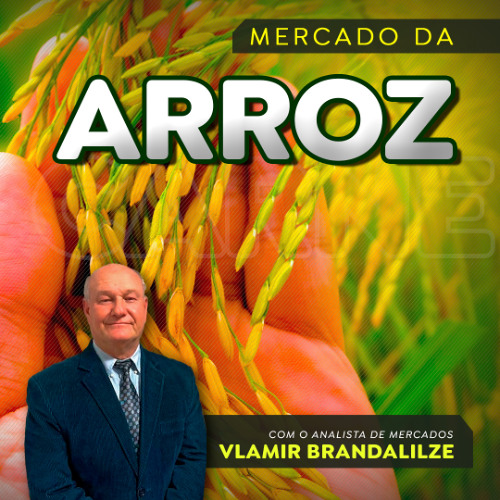 Arrozeiros sem paz; alento é o consumo em alta.