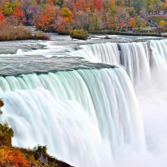 Autumn In Ny With 808s