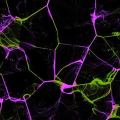 مولد_الحجز_2018_عنبه_السلام_|_توزيع_خليل_وشندى