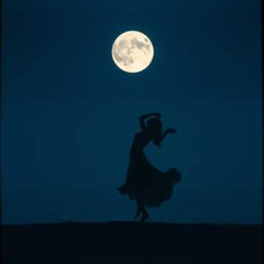 Sombras de la Luna Fluida