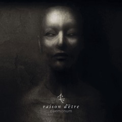 raison d'être - The Implacable Portal - Excerpt