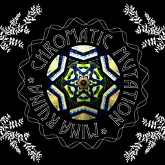 【M3-2020春】Chromatic Mutation[XFD]