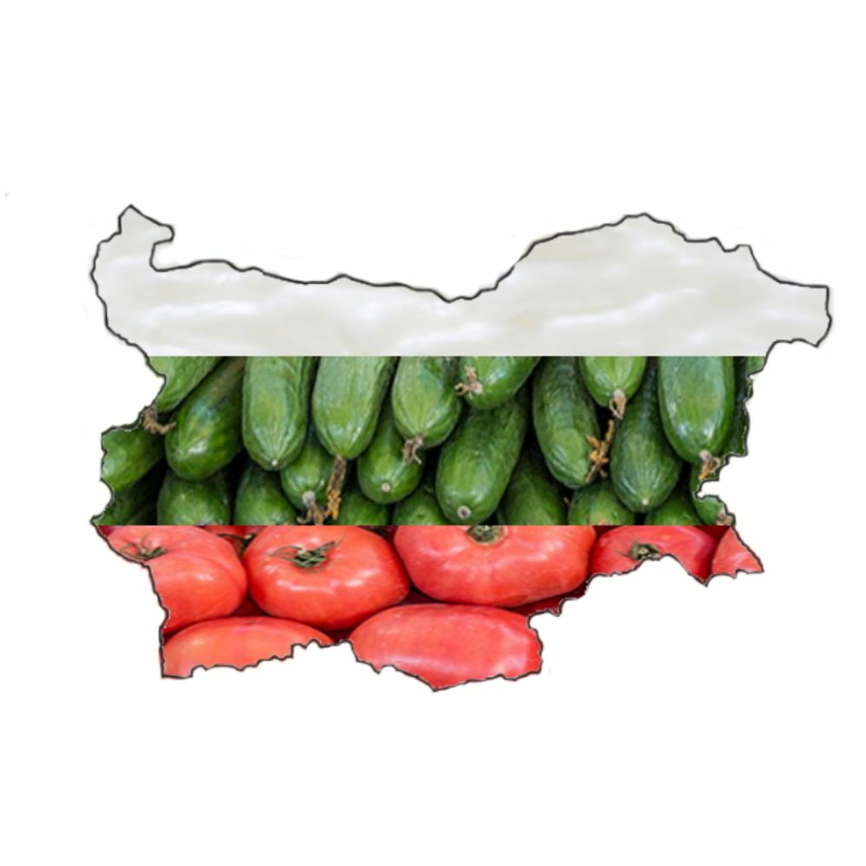 Neues vom Ballaballa-Balkan