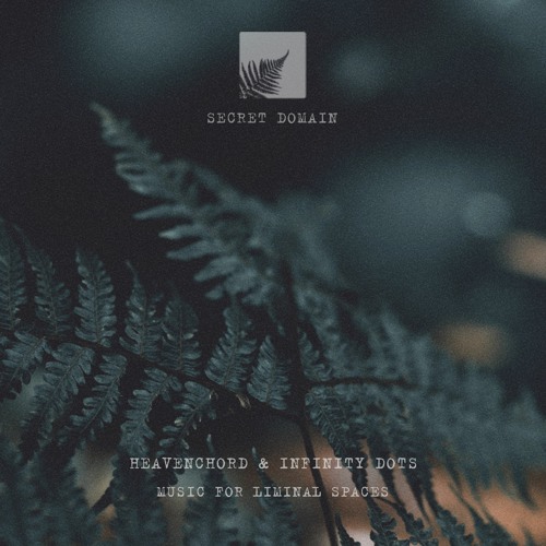 Heavenchord & Infinity Dots - Music For Liminal Spaces [ Secret Domain #56 ] FREE DL
