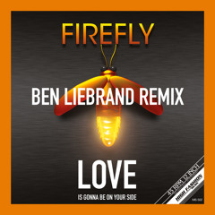 Love Is Gonna Be On Your Side (Ben Liebrand Love Extended Remix)
