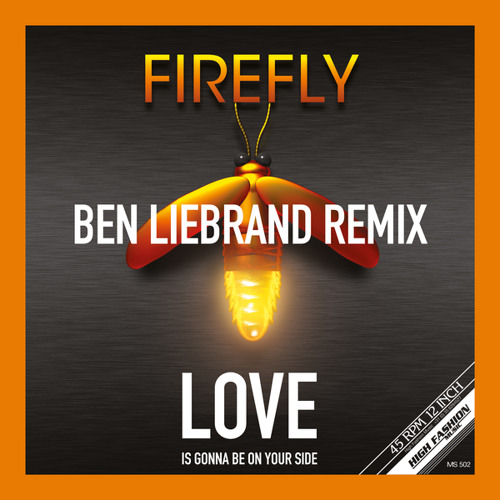 Love Is Gonna Be On Your Side (Ben Liebrand Love Extended Remix)