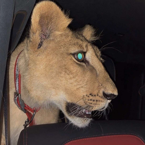 اببني بيننا حاجز