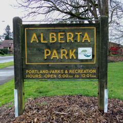 DreadHeadMare x alberta