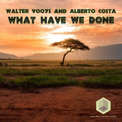 One Tribe - What Have You Done (Alberto Costa & Walter Vooys What have we done Remix) (Own Master)