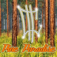 Pine Paradise
