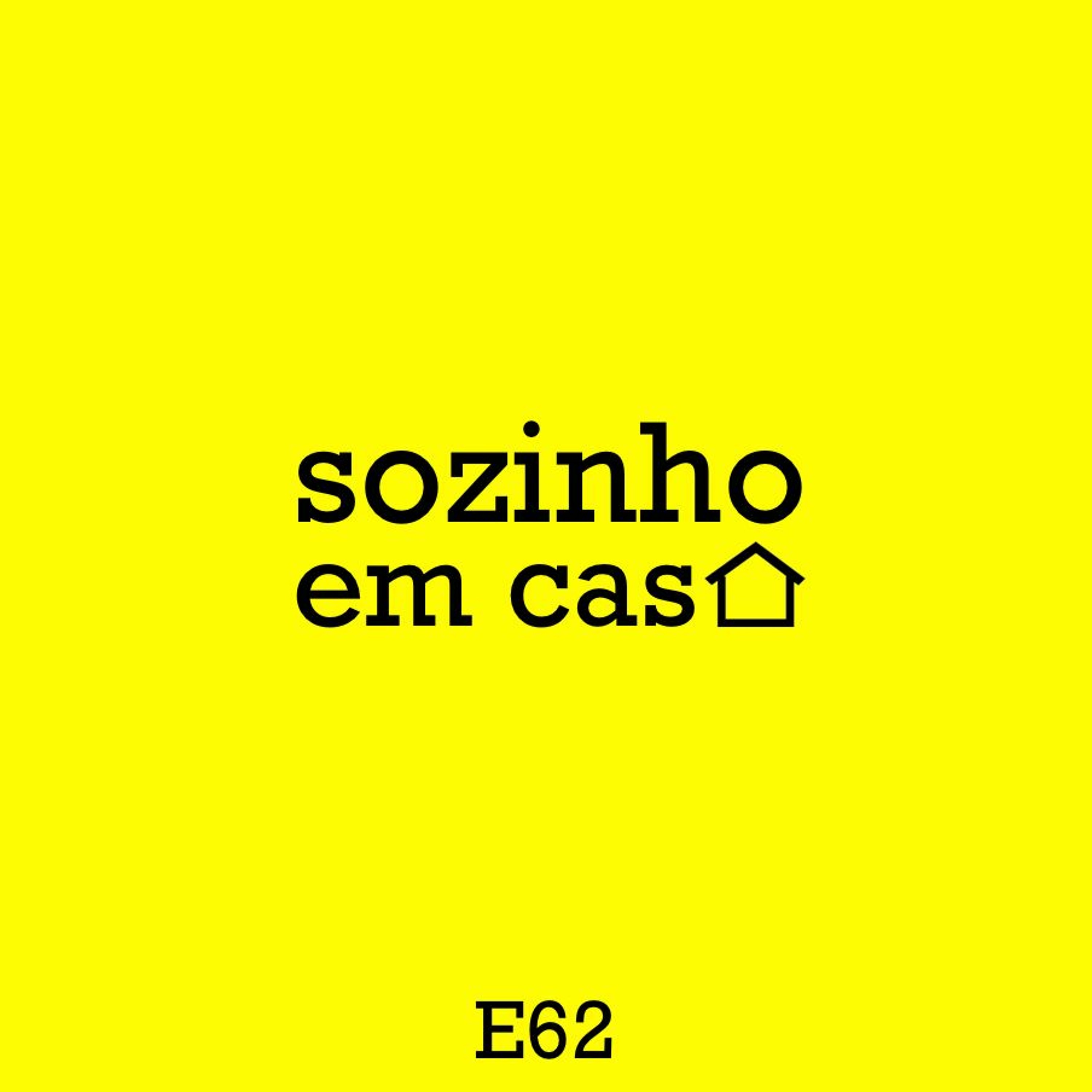 sozinho em casa