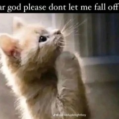 ✱✱✱✱alex g break but shoegaze✱✱✱✱