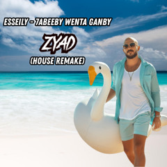 Esseily - 7abeeby wenta ganby / عسيلى - حبيبى وانت جنبى (House Remake)