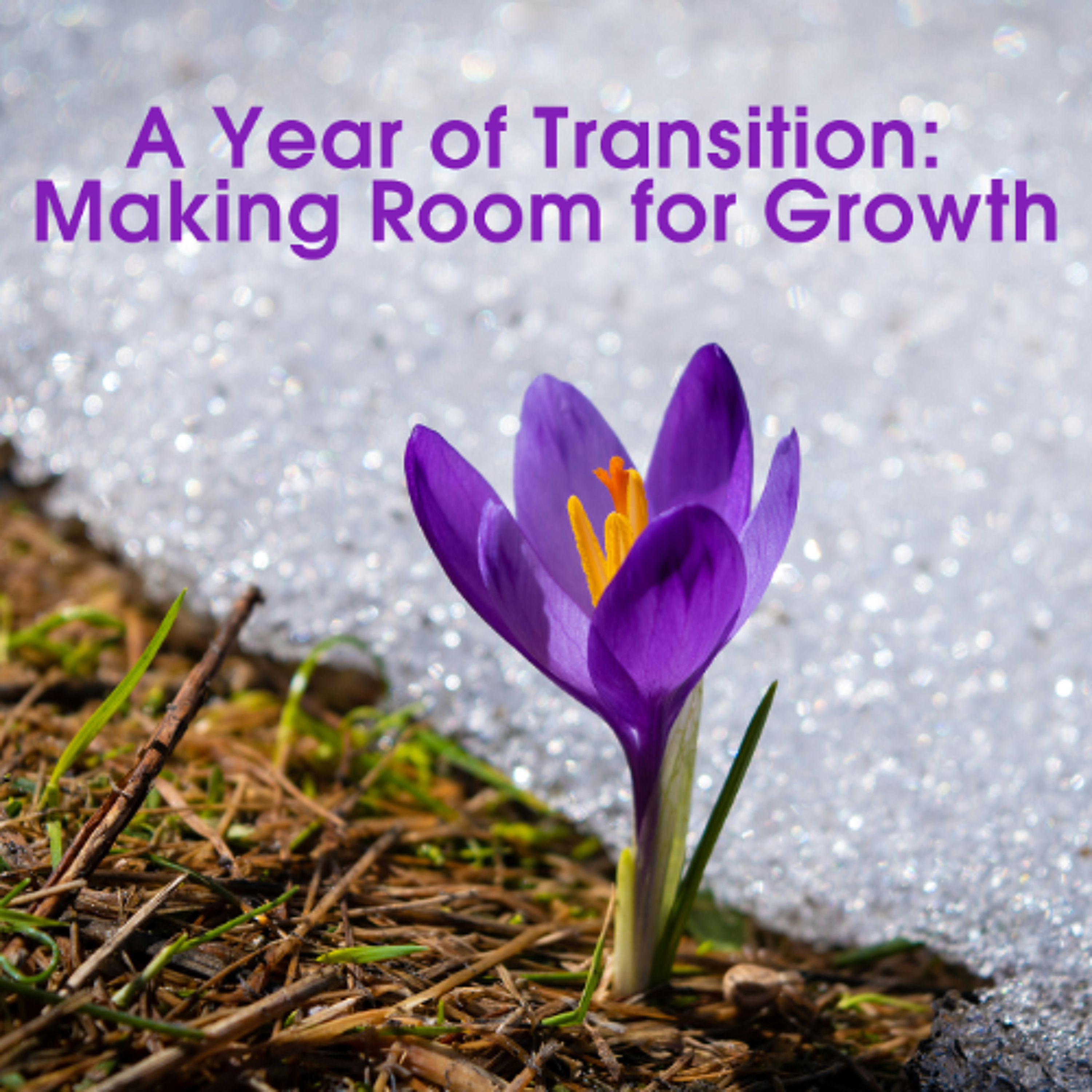 A Year of Transition - Making Room for Growth episode artwork