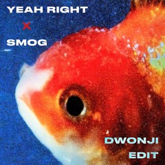 Yeah Right x Smog (Dwonji Edit)