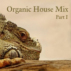 Organic House Mix Part 1